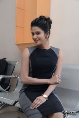 Jenny Honey at Meeku Meere Maaku Meeme Movie Trailer Launch